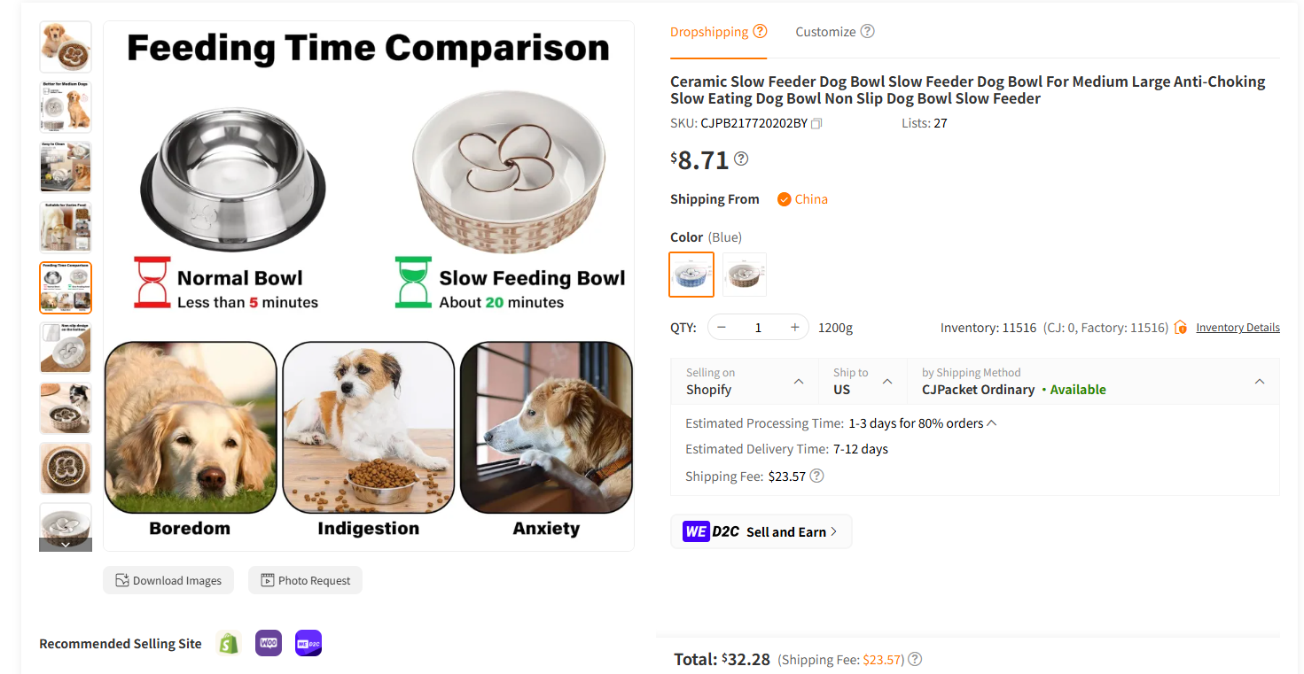 Slow-Feeder Dog Bowl